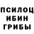 Псилоцибиновые грибы мицелий Duman Asylkhaliev