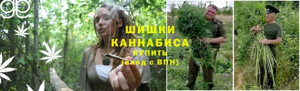 винт Бородино